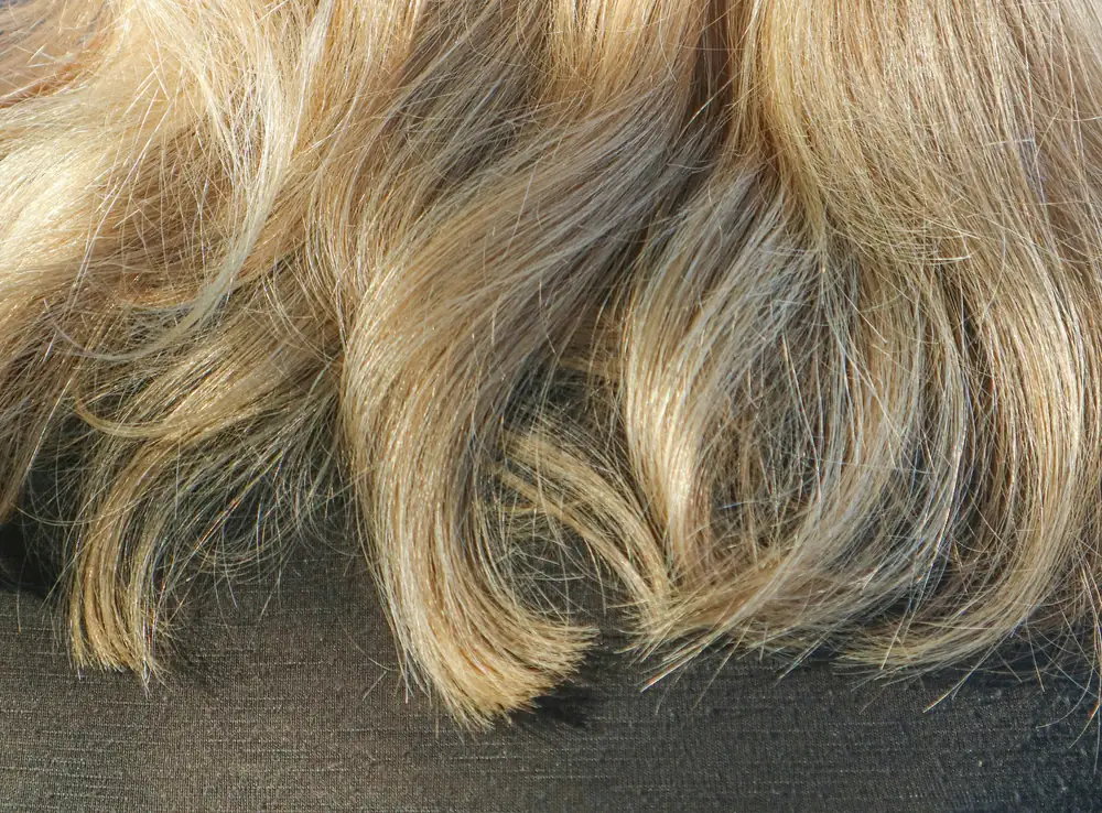 Nahaufnahme blondierter Haarlängen mit sichtbarem Frizz und trockenen Spitzen – warum blondierte Haare besondere Pflege brauchen